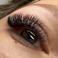 Vive Beauty Lashes