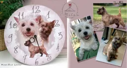 Taide Milou