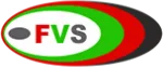 Fast Vision Security LLC