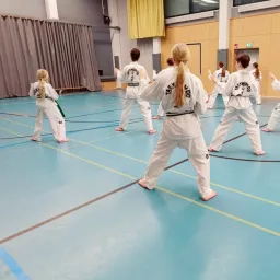Sirius Taekwon-Do