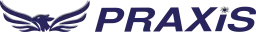 Praxis Business Services