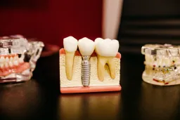 Elite Dental Studio