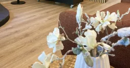 HiusStudio Paasikulma