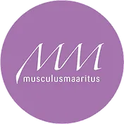 Musculus Maaritus