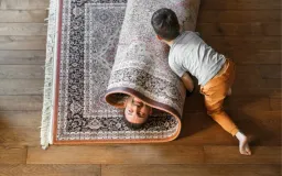 Carpet Pro