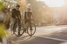 Bikelink
