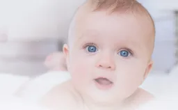 Canbebe Syria