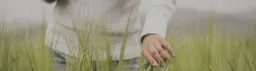 Reforest Finland Oy