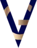 Vazir Group