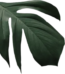 Le Bonne