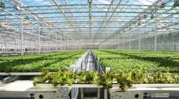 Green Automation Group