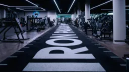 FitVantaa - Iron Paradise