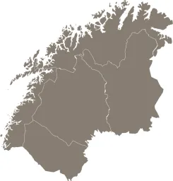 Ilmari Slant Ky