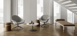 Roltrade