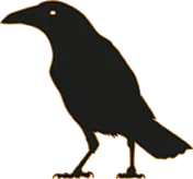 Ravintola Black Bird