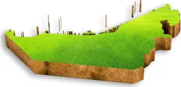 Geograss UAE