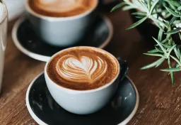 Café Tauko