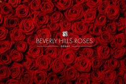 Beverly Hills Roses