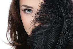 Silk-Studio