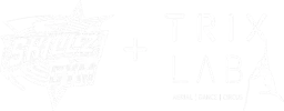 Trix Lab at Skillz Gym