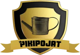 Suomen Pikipojat Oy