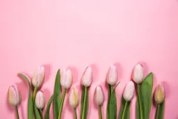 Divine Flowers