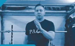 Palafys