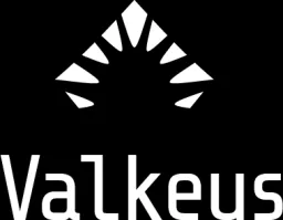 Valkeus
