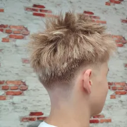 elfis
