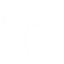 Selkäplus