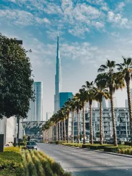 Phoneix Homes Real Estate