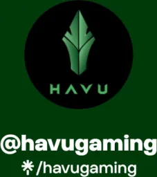 HAVU Gaming