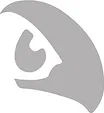 Sponsor Insight