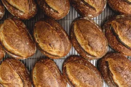 Birch Bakery