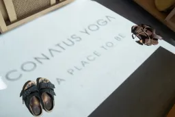 Conatus