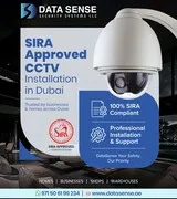 Data Sense Security Systems