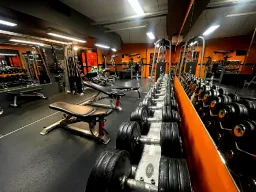 Gym TopShape