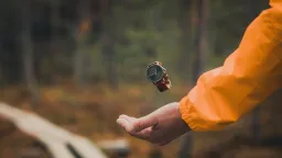 Rohje Oy