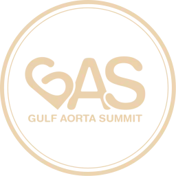 Gulf Aorta