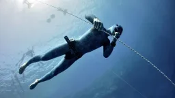 Spearfishing Dubai