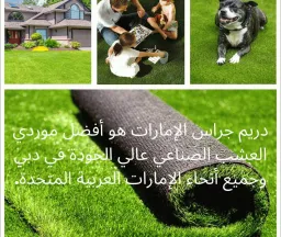 Dream Grass UAE