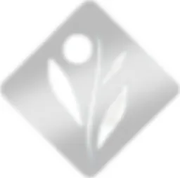 Environ Skin Care