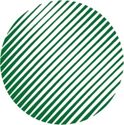 LedermanVision