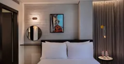 Muse TLV