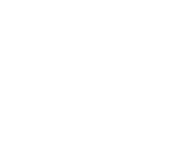 Mikon Peltityö