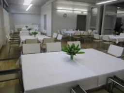 Pihlajasali