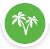 CodeOasis