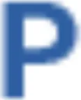 Punttis