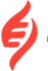 EvolveGene.Jo