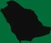 Establish in Saudi